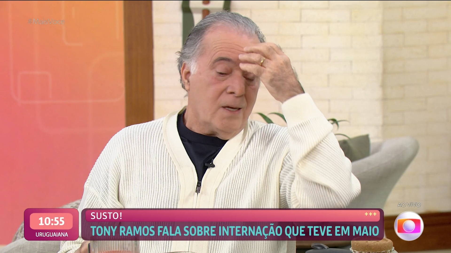 Entenda o que é Epstein–Barr, vírus que causou sangramento no cérebro de Tony Ramos