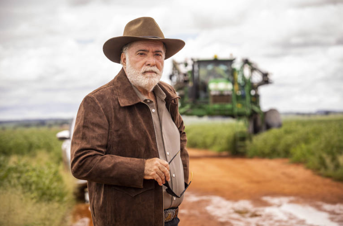 Tony Ramos tem trabalho com Denise Fraga cancelado após cirurgia no cérebro