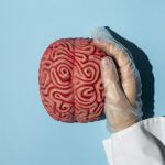 Para onde vai o 'lixo' gerado pela atividade cerebral? Pesquisadores respondem
