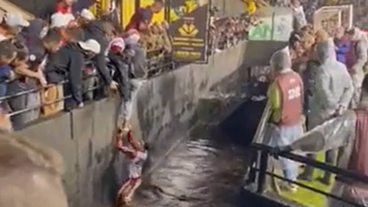 Torcedor do Vitória cai em fosso do Heriberto Hülse, do Criciúma; veja
