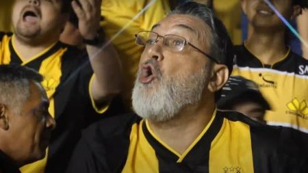 Torcedor grita que "Brasil é Sul!"