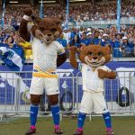 Setor fechado e veto a organizadas: como será a volta da torcida do Cruzeiro ao Mineirão