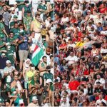 Torcida do Palmeiras ultrapassa a do São Paulo e assume terceiro lugar no país