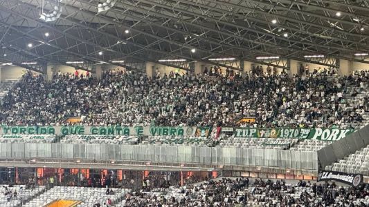 Torcida do Palmeiras lotou espaço dos visitantes no Mineirão