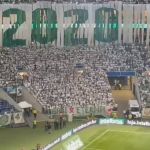 Torcida do Palmeiras faz homenagem à torcedora morta no Allianz Parque