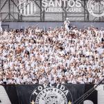 Torcida do Santos se mobiliza para transformar Vila em alçapão contra Palmeiras