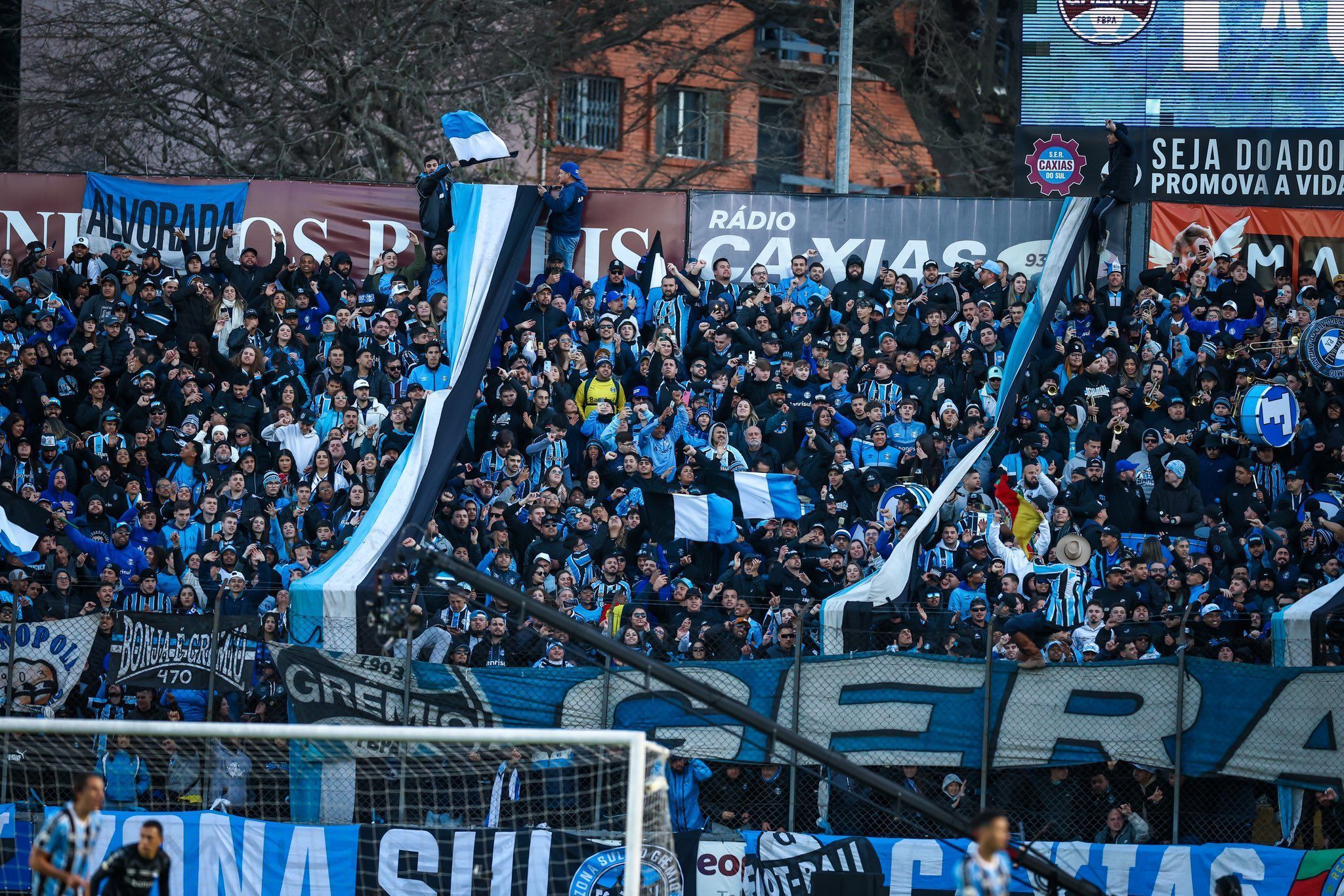 Grêmio x Palmeiras: veja escalações para jogo pelo Brasileirão