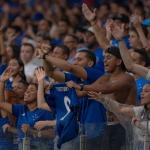 Cruzeiro terá segundo maior público do ano em 'decisão' na Sul-Americana