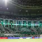 Palmeiras é líder disparado; veja ranking de sócios dos clubes da Série A