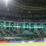 Palmeiras é líder disparado; veja ranking de sócios dos clubes da Série A