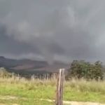 Vídeo: tornado de mais de 200 Km/h atinge plantação no Norte do Paraná 
