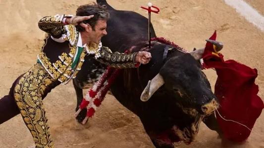 Embora a medida tenha um caráter geral, afeta em particular os espetáculos cômicos de touradas com pessoas com nanismo