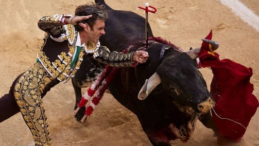 Touradas não estão incluídas em nova lei contra maus-tratos