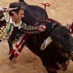 Espanha aprova lei contra maus-tratos aos animais, que não se aplica às touradas