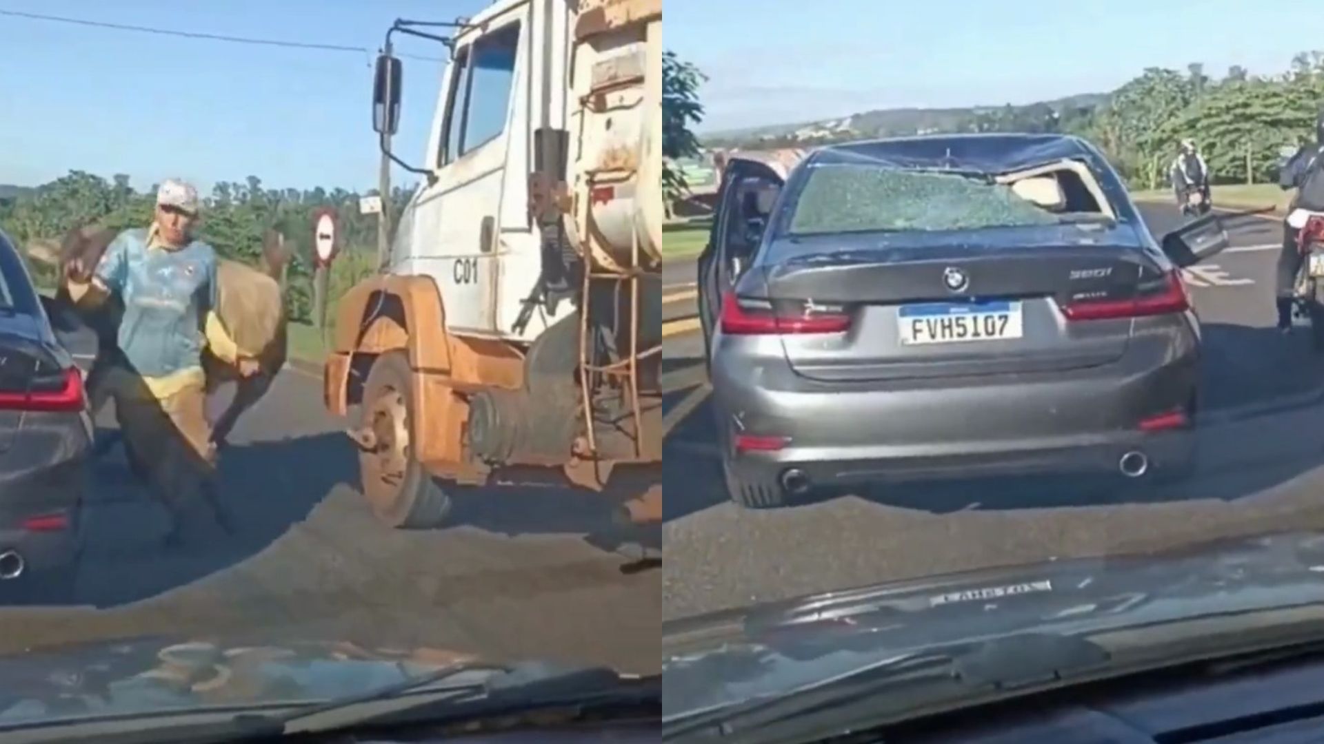 Vídeo: touro solto em avenida persegue pedestre e destrói BMW em SP