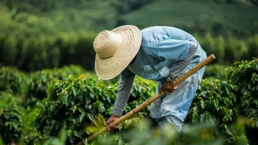 Prefeitura de Mariana abre programa para regularização de débitos de produtores rurais