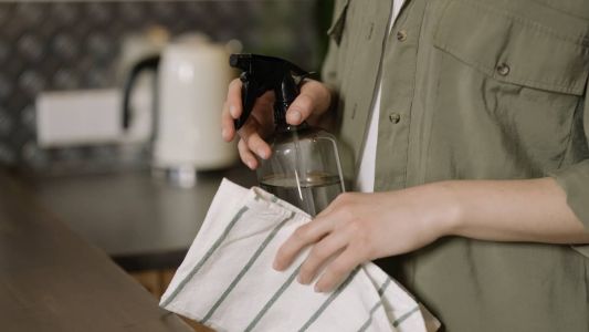 Trabalhadora pedia indenização por trabalhar como empregada doméstica e babá