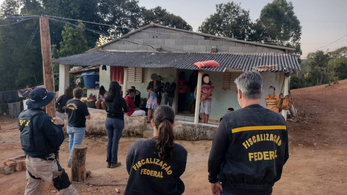 Quatorze trabalhadores de situação análoga a de escravidão são resgatados em colheita de café no Sul de Minas 