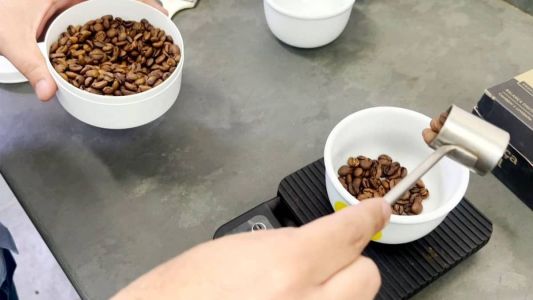 Trabalho de degustação envolve o desenvolvimento dos sentidos como o olfato e o paladar