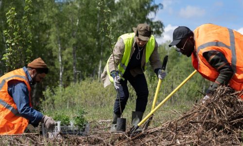 trabalho rural campo - Imagem Ilustrativa Freepik