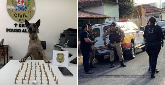Foto mostra drogas apreendidas pela Polícia Civil em Pouso Alegre (MG)