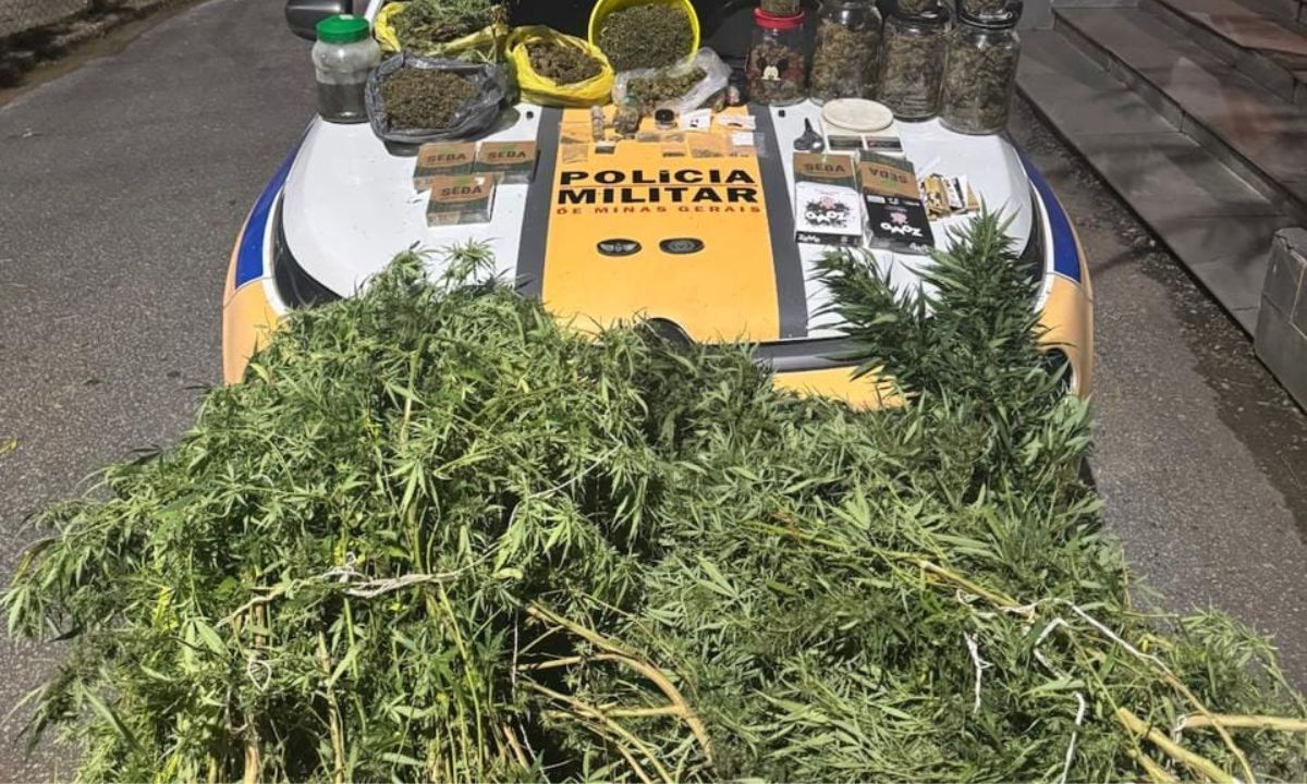 PM descobre plantação de maconha e laboratório de drogas em MG
