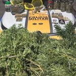PM descobre plantação de maconha e laboratório de drogas em MG