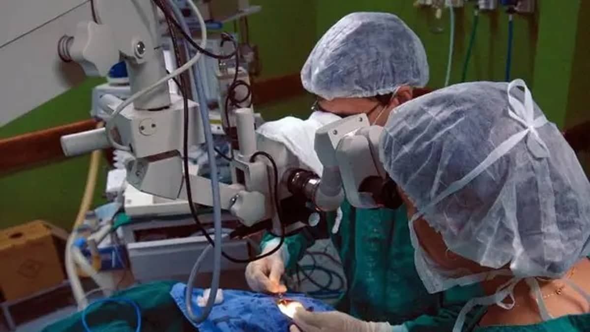 Transplante cardíaco: pacientes ficam mais de 1 mês internados após cirurgia, diz médico