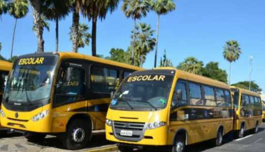 Falta de transporte escolar prejudica alunos na Região Metropolitana de BH