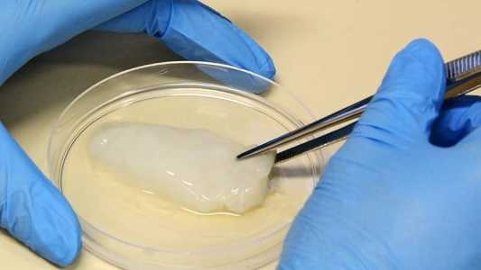 Trata-se de uma carne que nasce da própria célula da carne de frango, uma tecnologia que recria tecidos a partir da célula da galinha