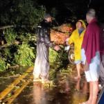 Rodovia MG-353 está parcialmente liberada após queda de barranco na Zona da Mata