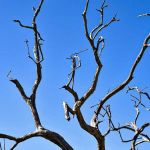 Previsão do tempo: Minas tem melhora na umidade relativa do ar e temperatura mínima de 4°C 