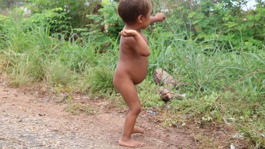 Na primeira fase, os policiais investigaram um esquema criminoso que teria deixado mais de 10 mil crianças Yanomami desassistidas