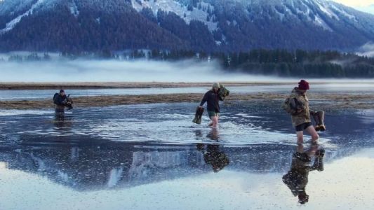 Competidores atravessam rio em temperaturas negativas no Alasca e correm risco de hipotermia