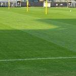 Gramado de São Januário é recuperado para o Brasileiro; veja