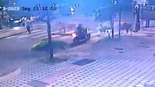 'Trombada' entre motociclista e boi em BH foi flagrada por câmeras de segurança
