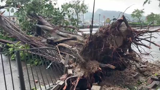 Tufão deixa mais de 100 pessoas feridas e 260 mil casas sem energia em Taiwan.