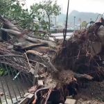 Tufão deixa mais de 100 pessoas feridas e 260 mil casas sem energia em Taiwan