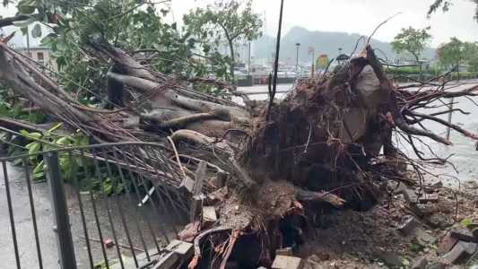 Tufão deixa mais de 100 pessoas feridas e 260 mil casas sem energia em Taiwan.