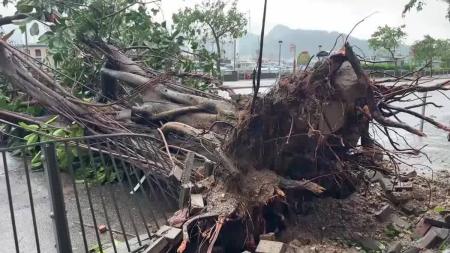 Tufão deixa mais de 100 pessoas feridas e 260 mil casas sem energia em Taiwan.