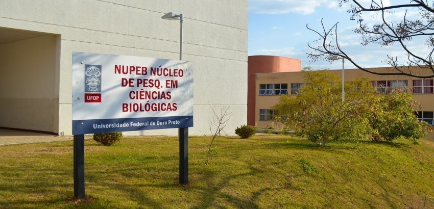 UFOP revela efeito protetor de bactérias na pele de anfíbios