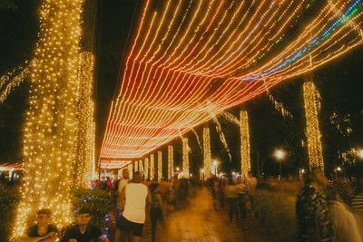 Mais de 850 crianças de abrigos devem passar Natal com madrinhas e padrinhos em MG; veja como participar