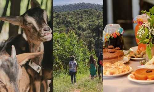 Brumadinho, na Região Metropolitana de Belo Horizonte, vai receber o primeiro Circuito do Turismo Rural neste mês de julho