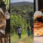Turismo rural em Brumadinho: fazendas oferecem experiências em julho; veja programação