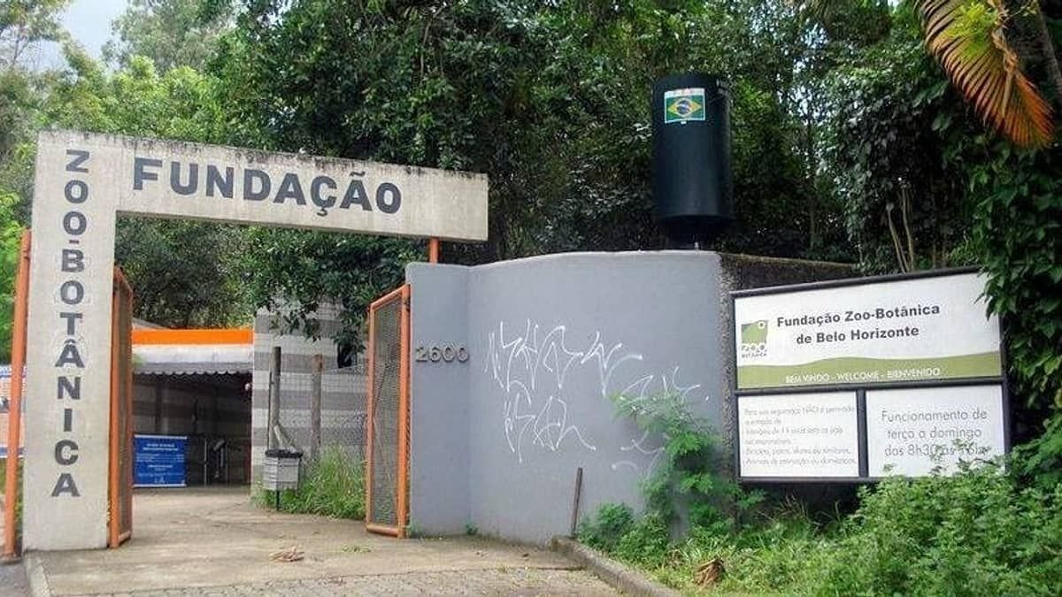 Turista alemão é levado ao hospital após fruta cair na sua cabeça no Zoológico de BH