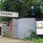 Turista alemão é levado ao hospital após fruta cair na sua cabeça no Zoológico de BH