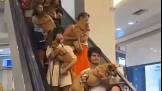 Tutores desceram a escada rolante com seus pets no colo