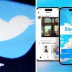 Bluesky, concorrente do X, ganha 150 mil usuários brasileiros em uma semana