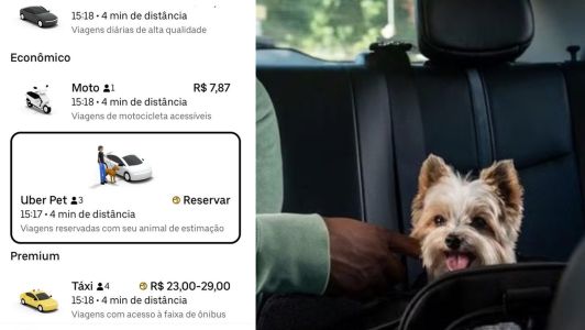 Foto mostra interface do aplicativo Uber e, ao lado, cachorro dentro de carro