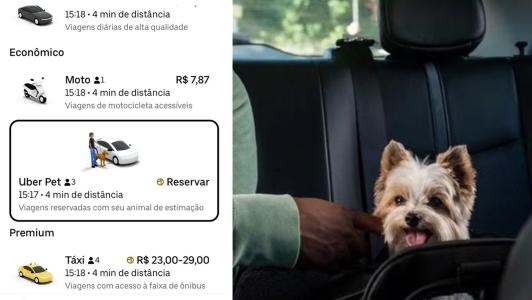 Foto mostra interface do aplicativo Uber e, ao lado, cachorro dentro de carro